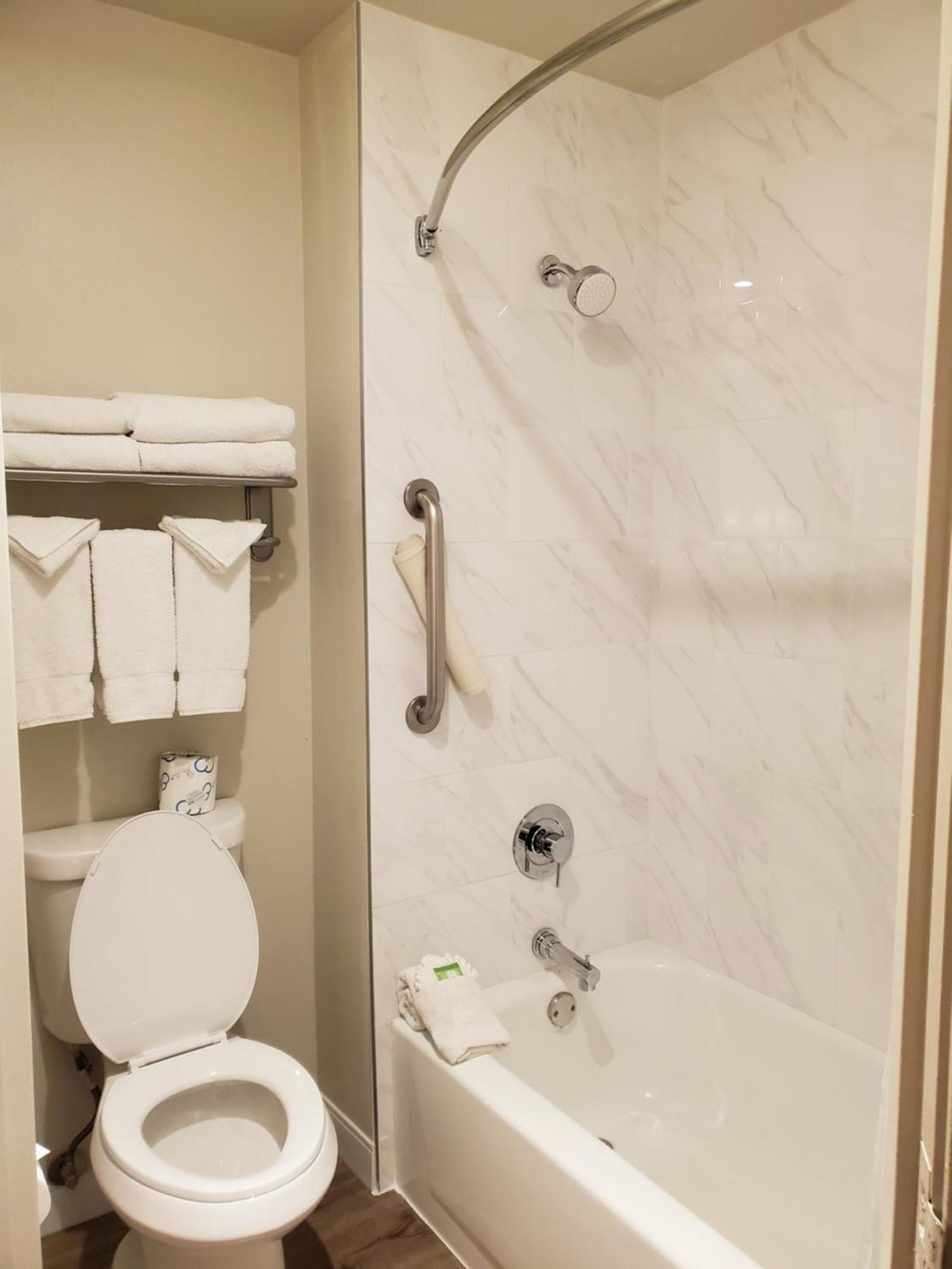 1 King Bed, Executive Suite, Sofa Bed, Kitchenette, Non-Smoking,1434555262:JPEG