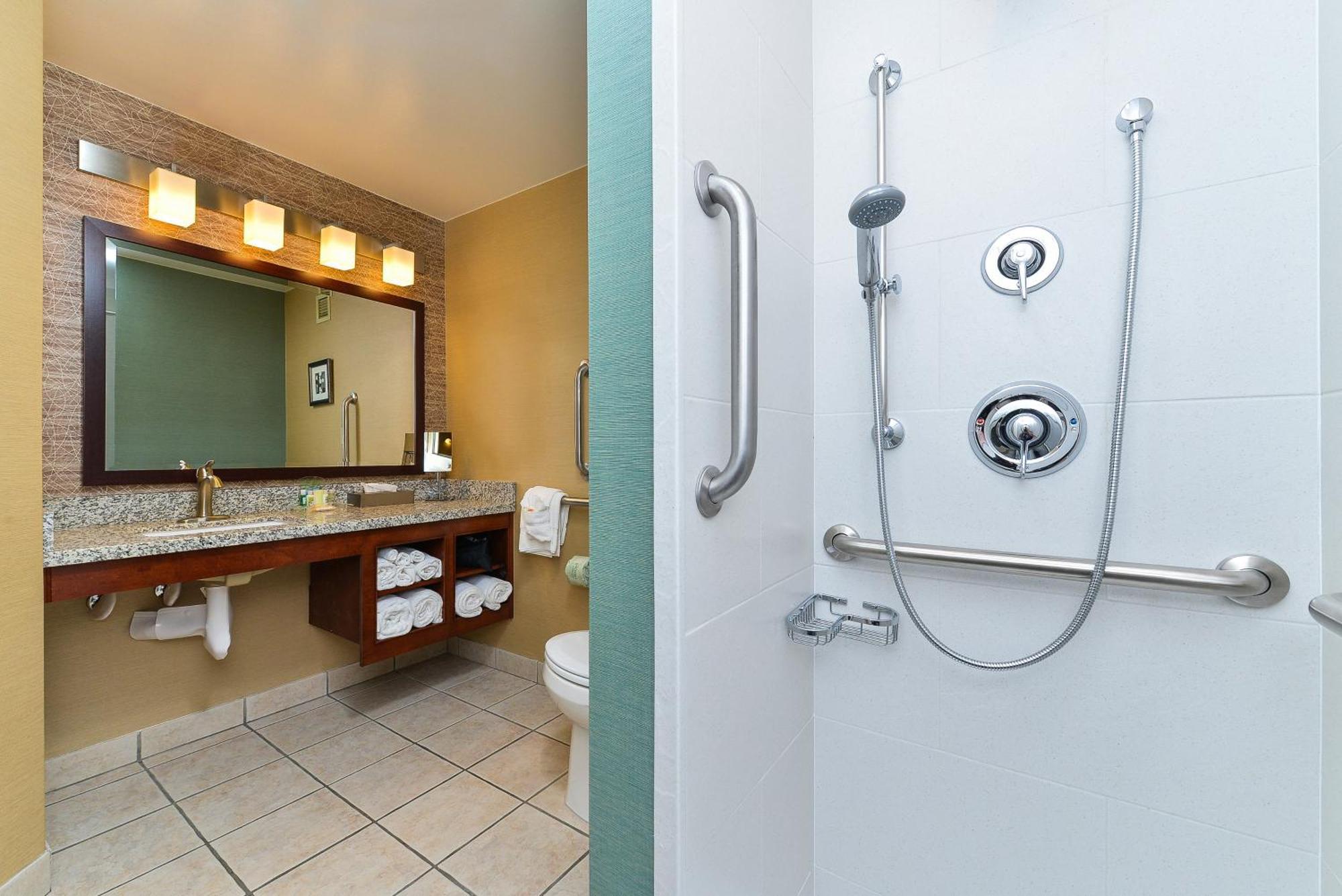 Standard King Room Roll Shower Mobility Access