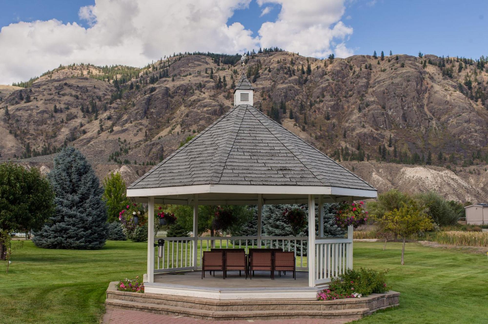 Deluxe King Room- Mountain View