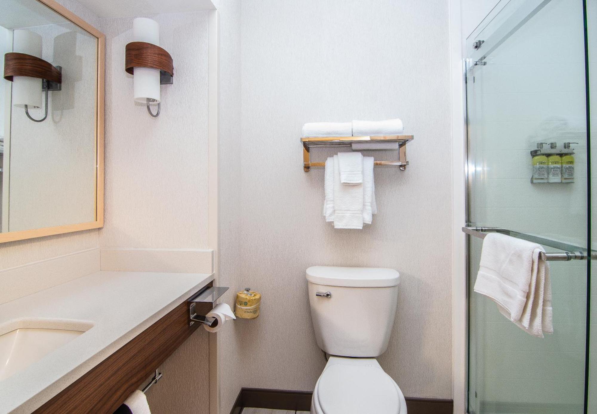 Standard King Room with Walk-In Shower