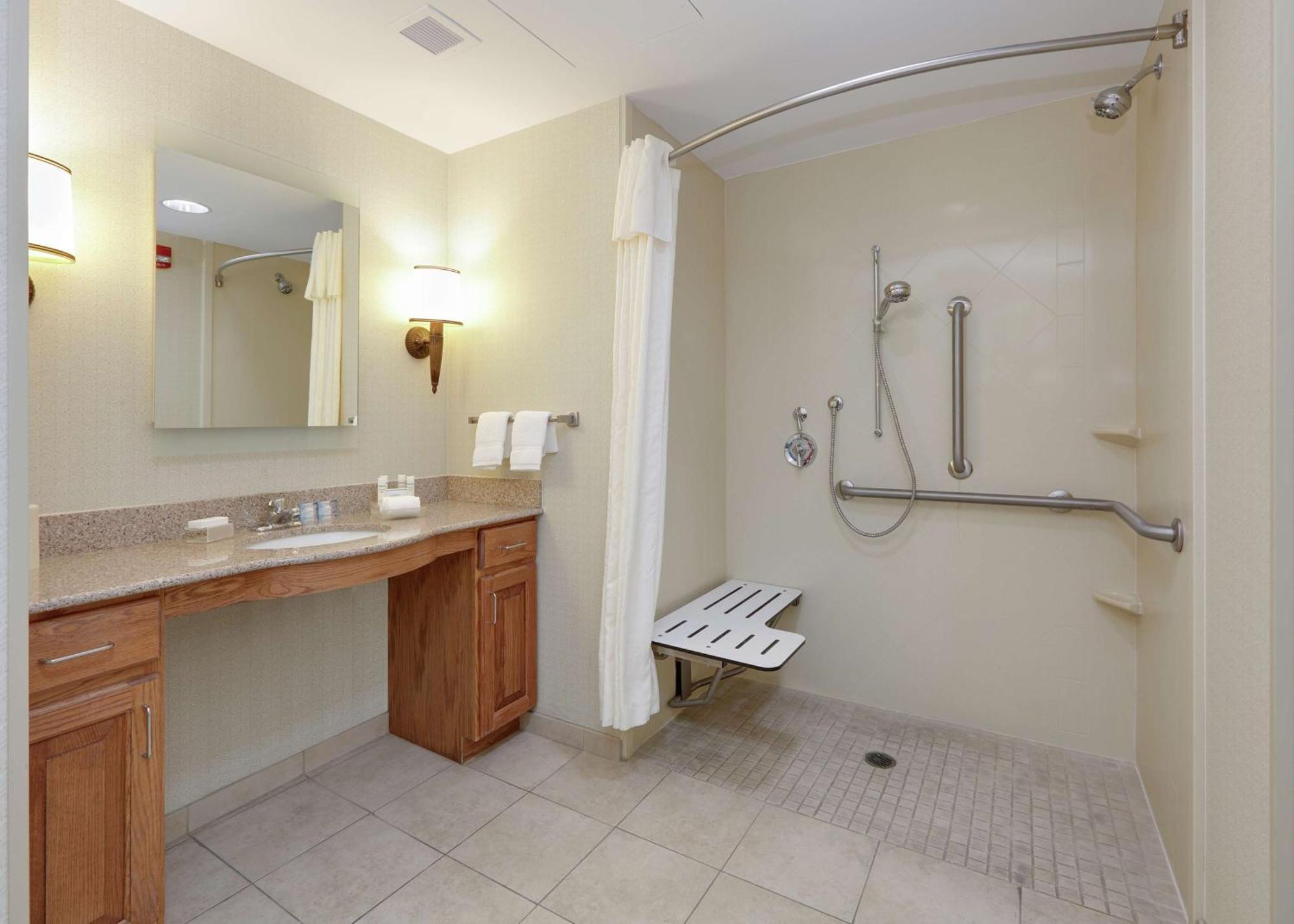 King Suite Mobility Access or Non-Smoking