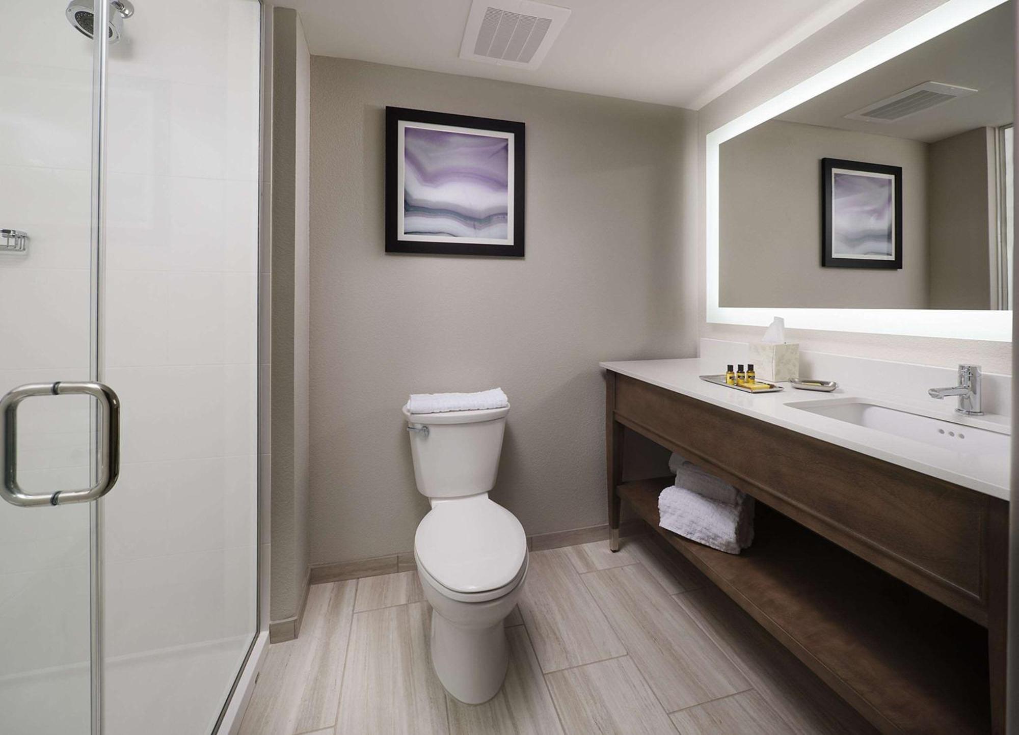 King Suite with Sofa Bed