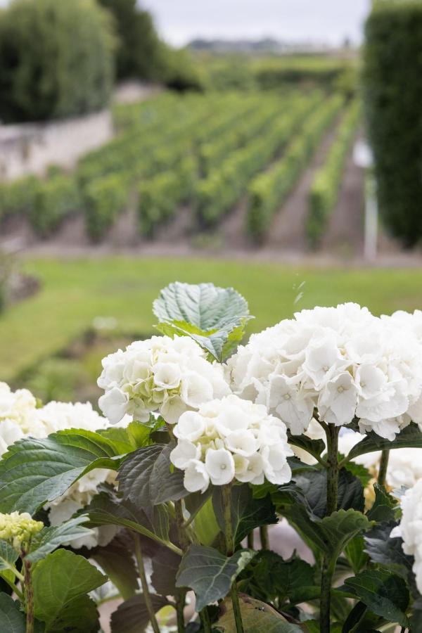 Chambre Lit Queen-Size - Vue sur Jardin