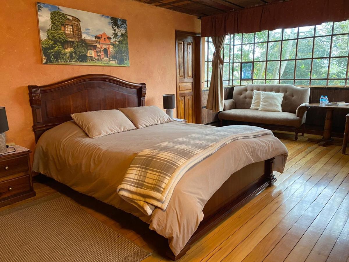 King Room Garden View