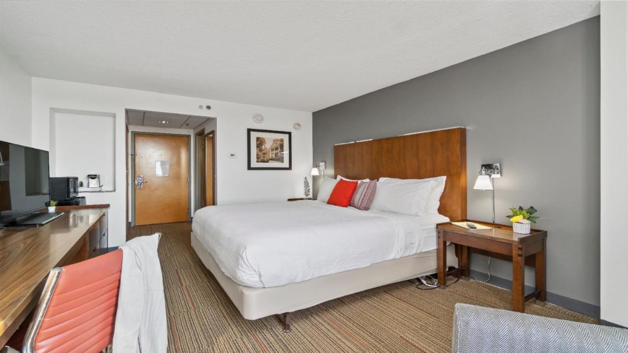 Habitación Deluxe con cama extragrande