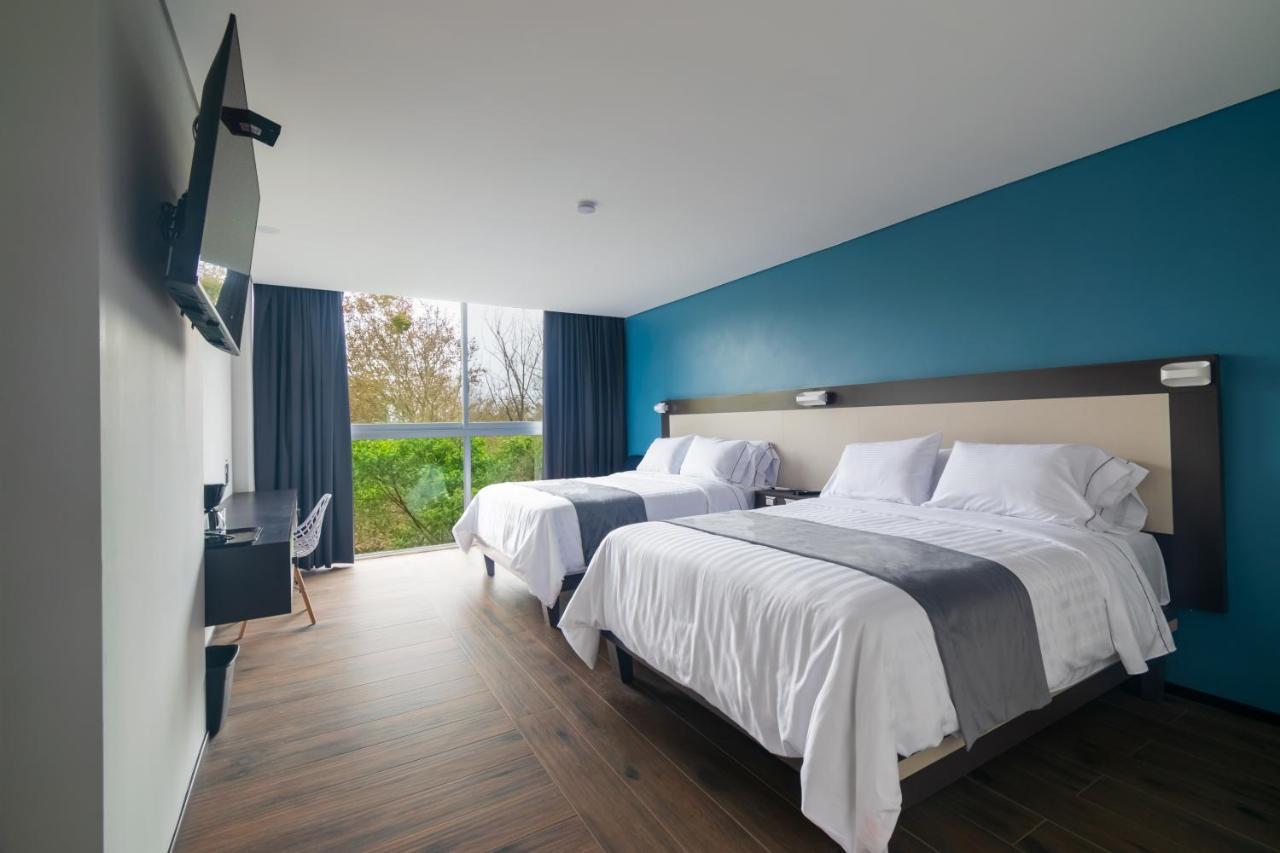 Suite Estándar