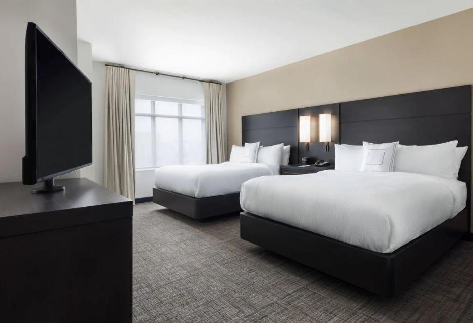 One-Bedroom Suite with Two Queen Beds and Sofa Bed