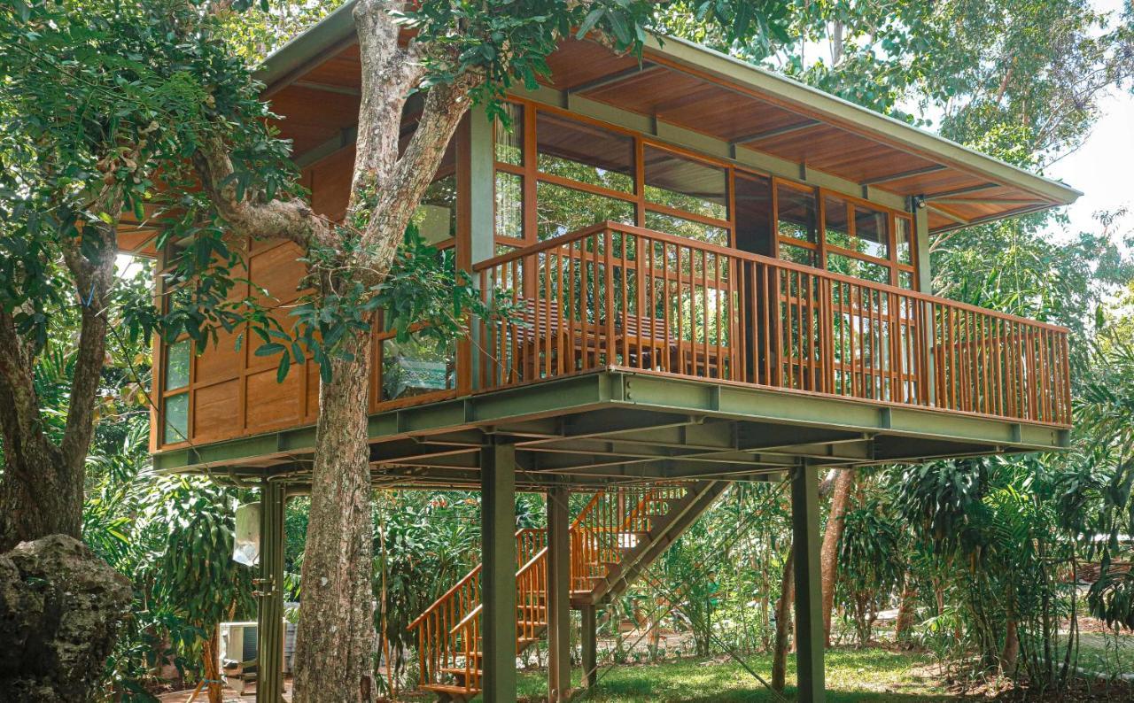 Treehouse Studio,1766699898:JPEG