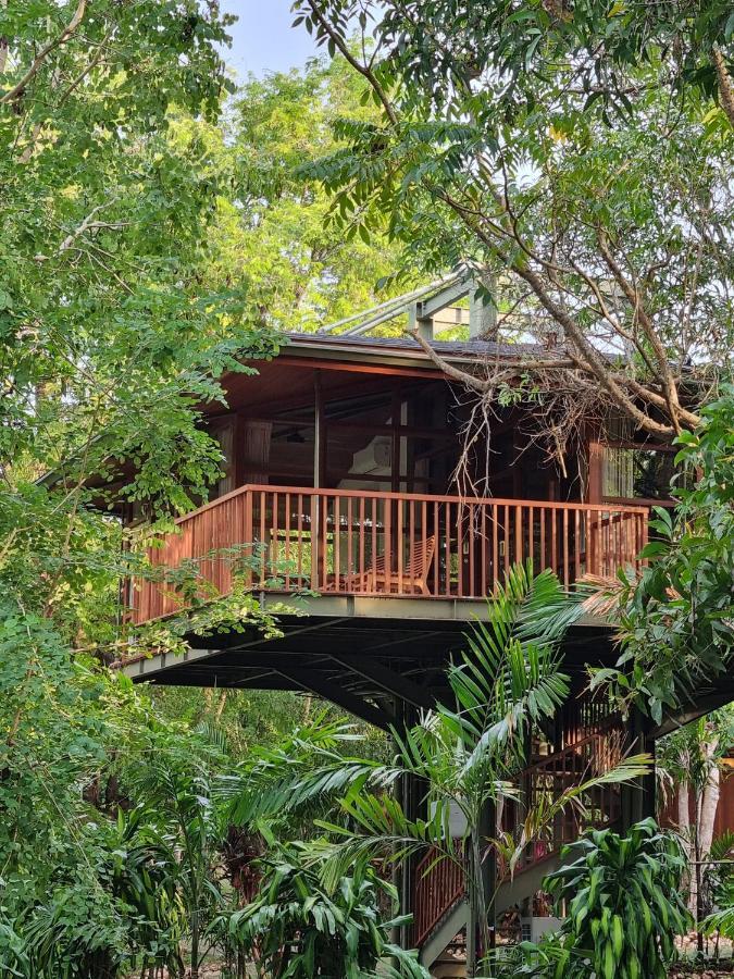 Treehouse Suite,1480619669:JPEG