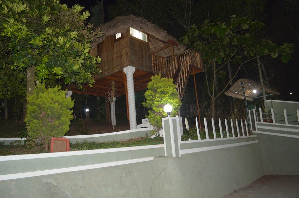 Double Room with Patio