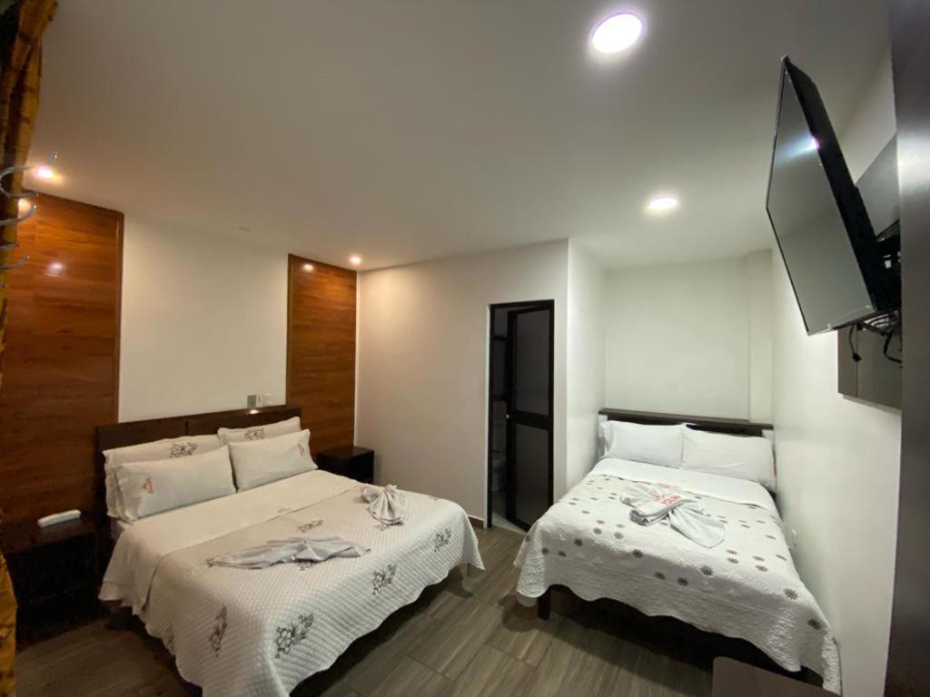 Habitación Doble - 2 camas