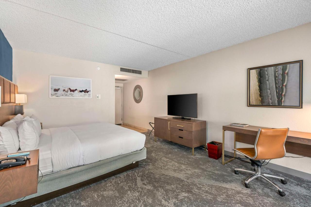 Suite Estándar con cama extragrande
