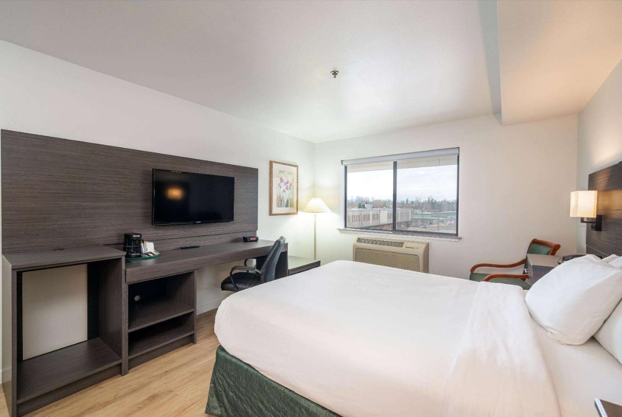Queen Room - Disability Access/Non-Smoking