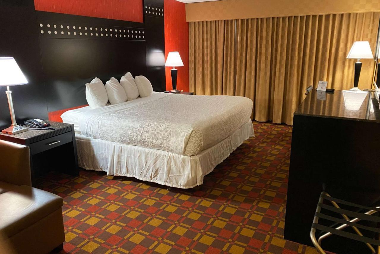 One-Bedroom King Studio Suite -  Non-Smoking