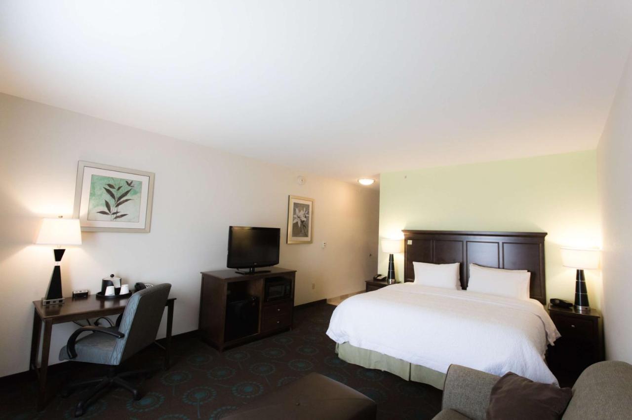 King Studio Suite with Sofa Bed - Non-Smoking