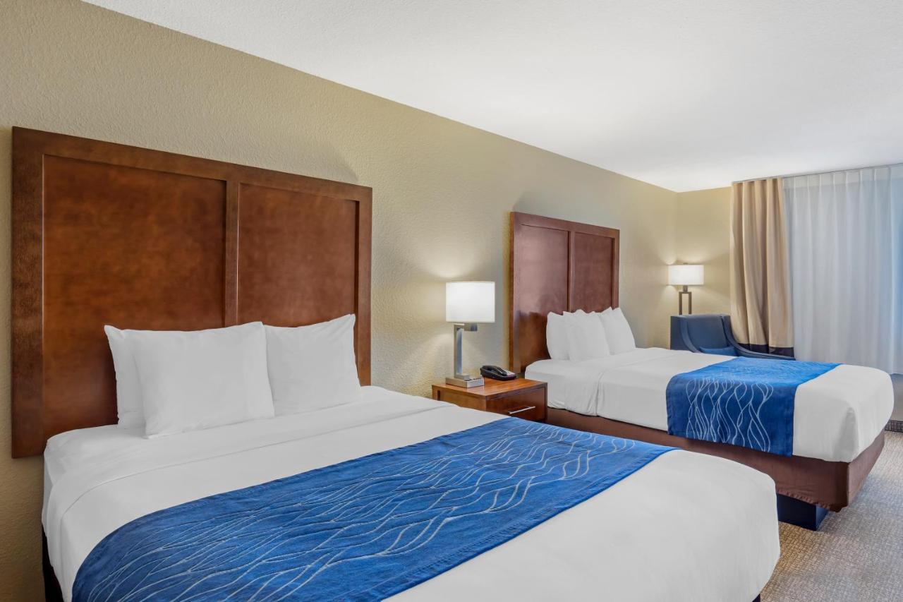 Queen Room Two Queen Beds Disability Access