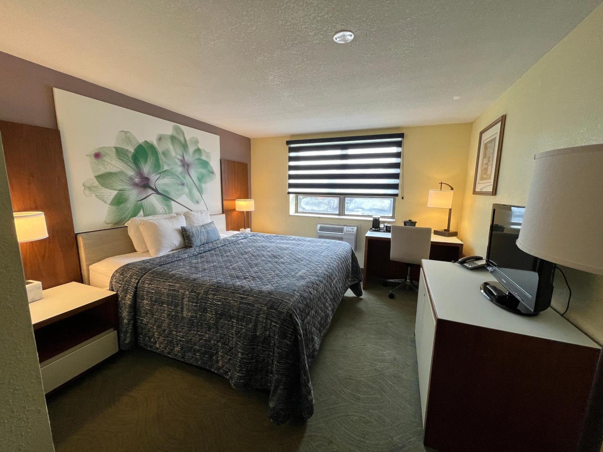 King Room