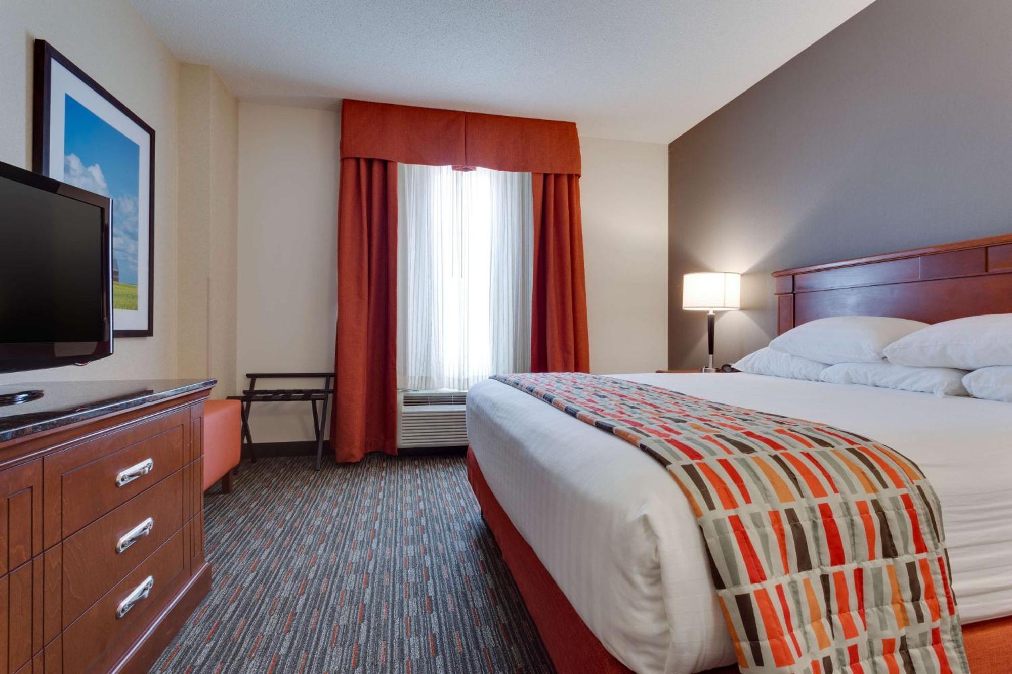 King Suite with Sofa Bed