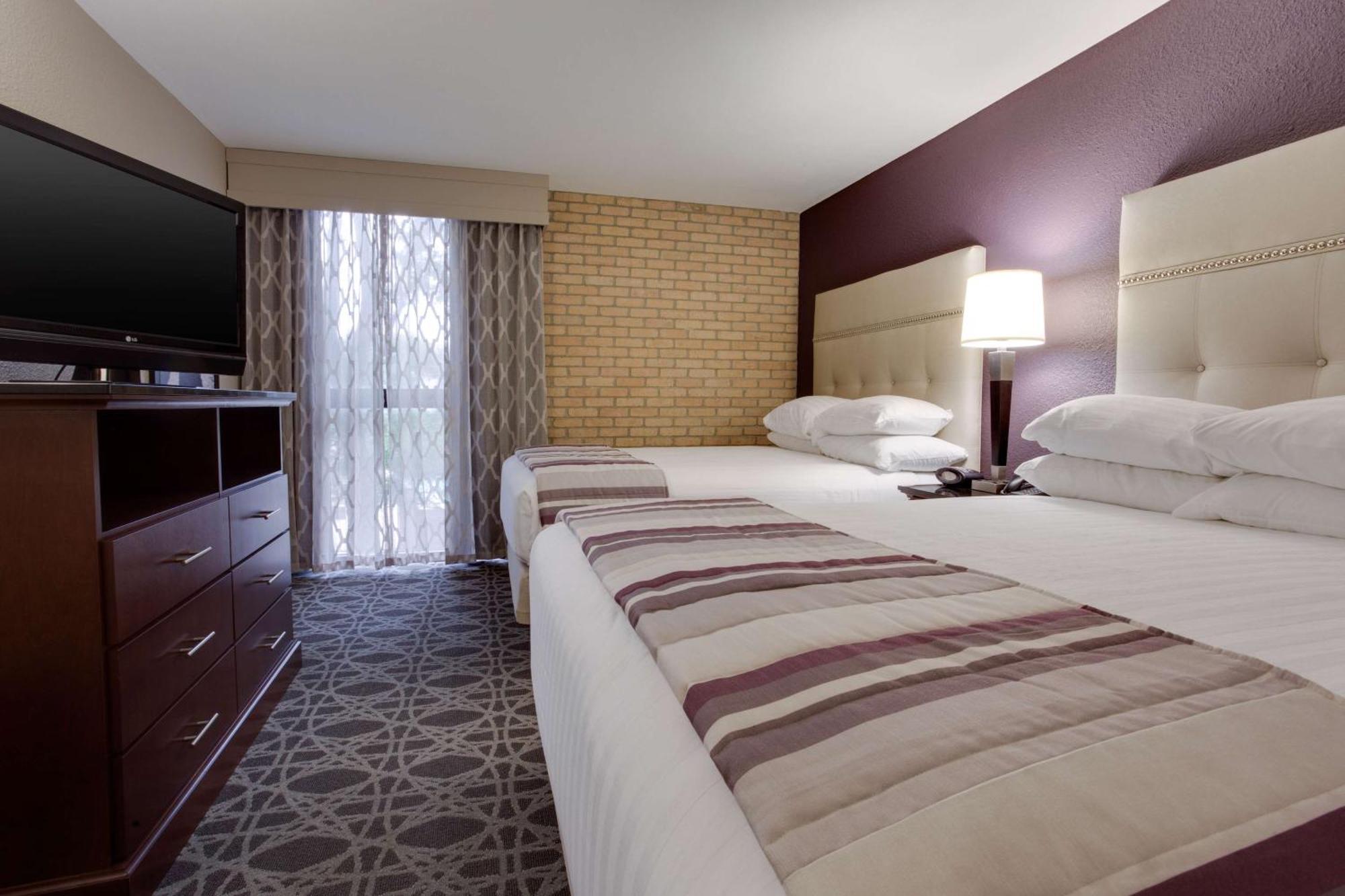 Suite con 2 camas grandes