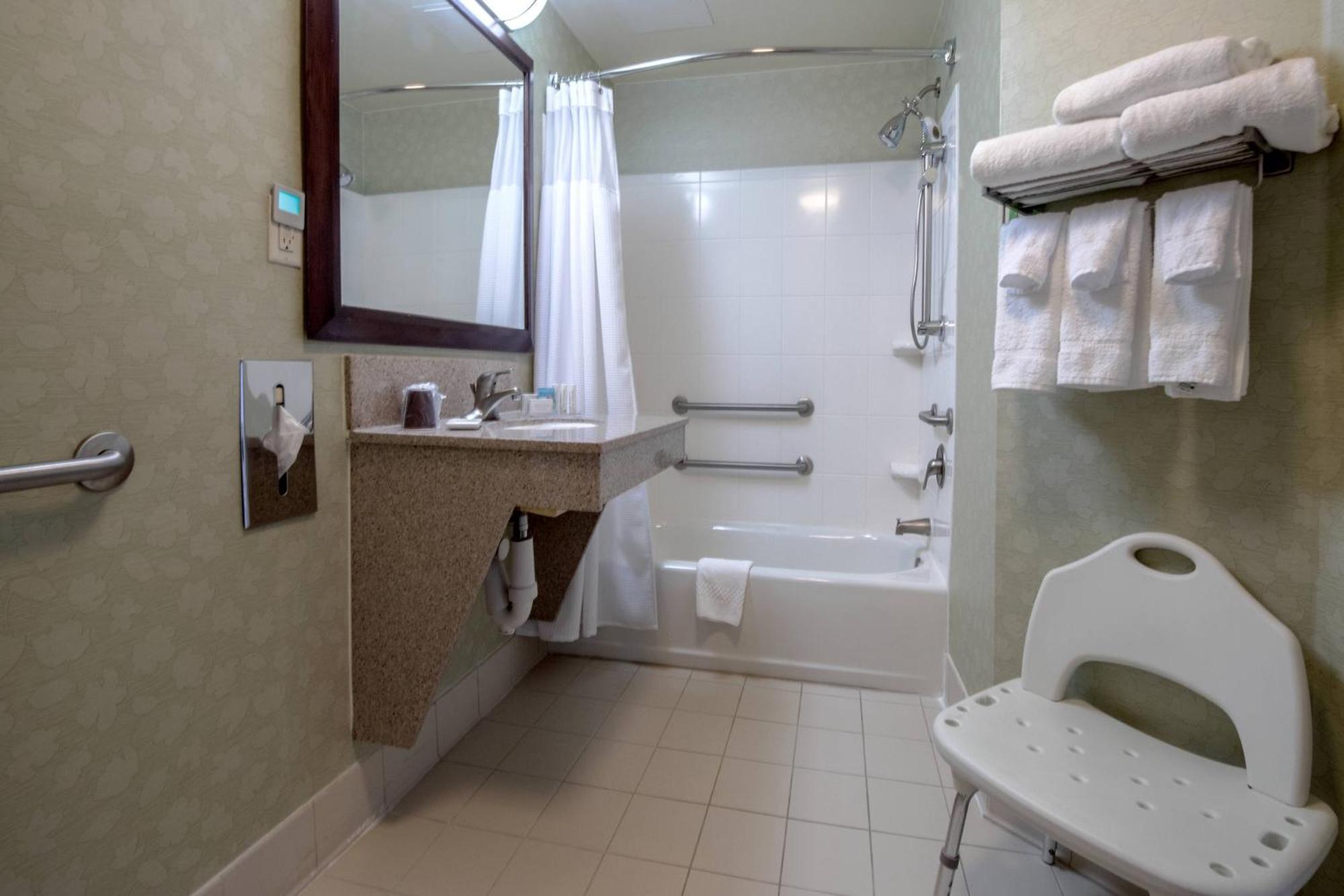King Suite Bathtub Sofa Bed Mobility Access or Hearing Accessible