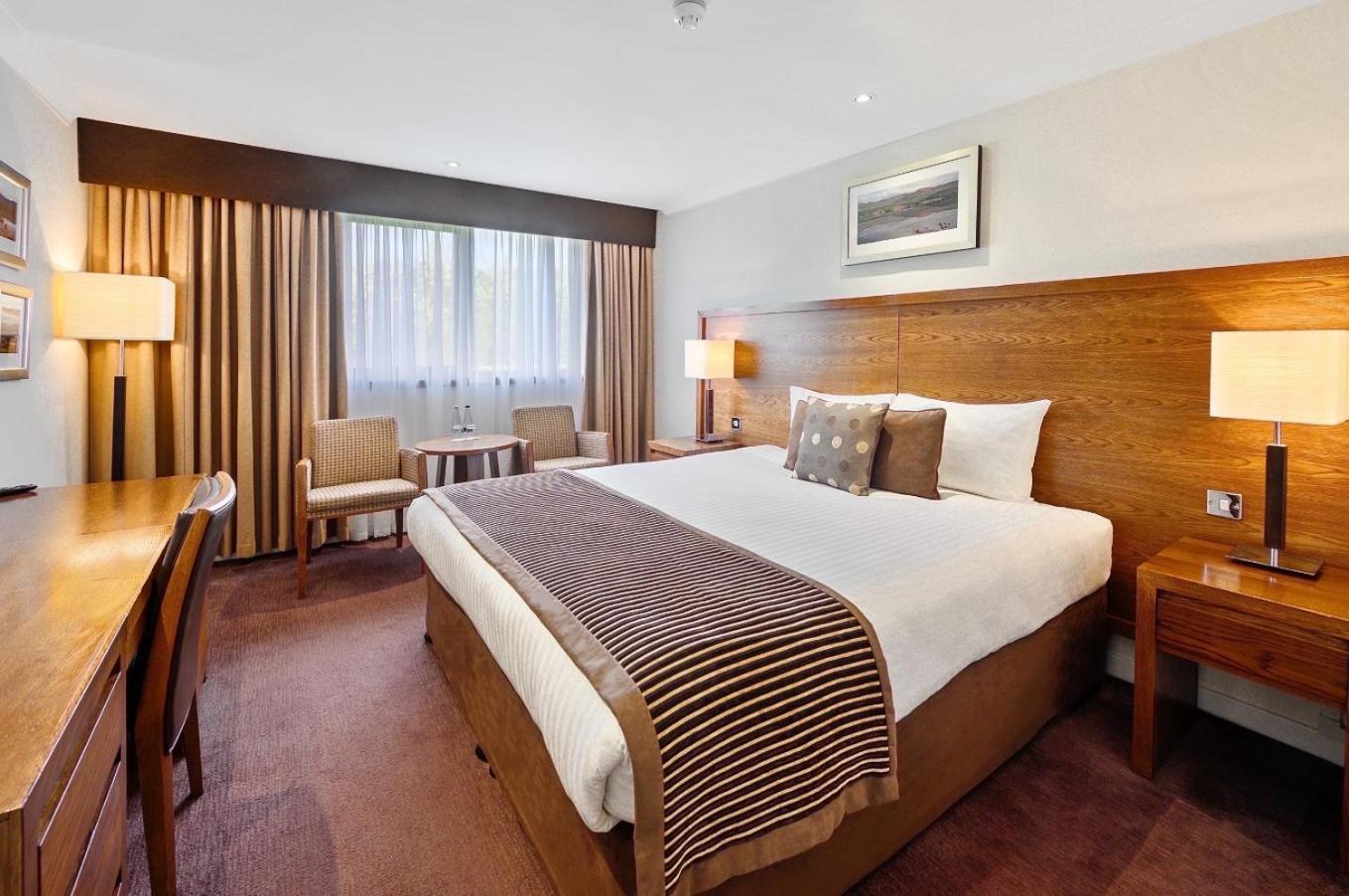 Executive King Room,951580756:JPEG