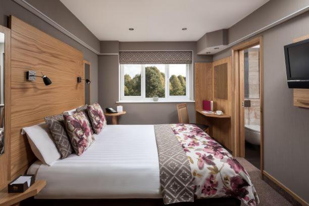 Budget Double Room,1516424977:JPEG