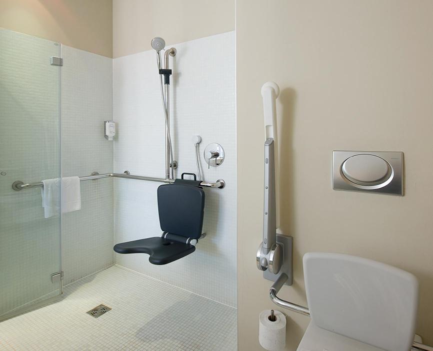 King Room with Roll-In Shower - Disability Access