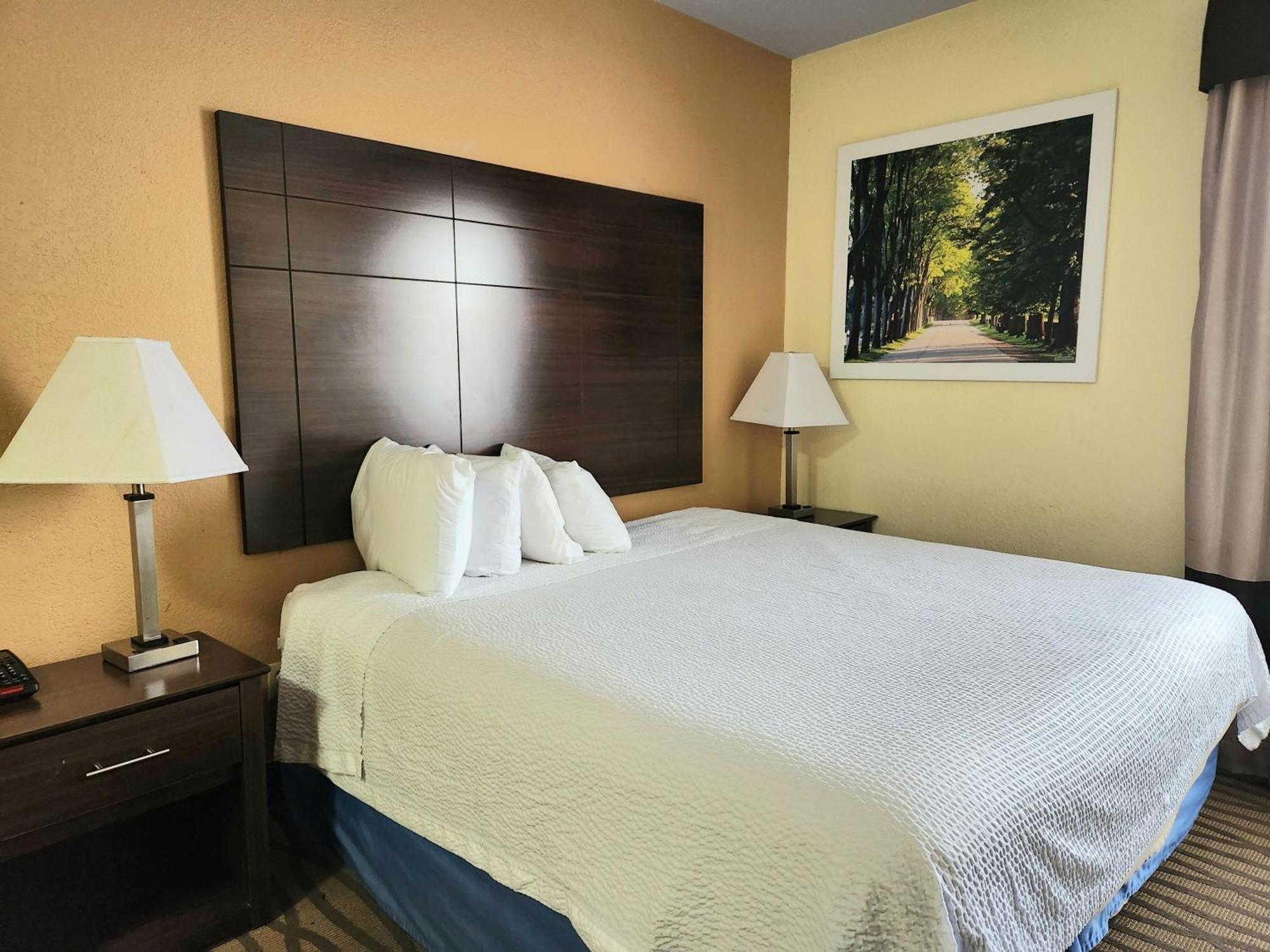 1 King Bed | Non-Smoking, Micfridge