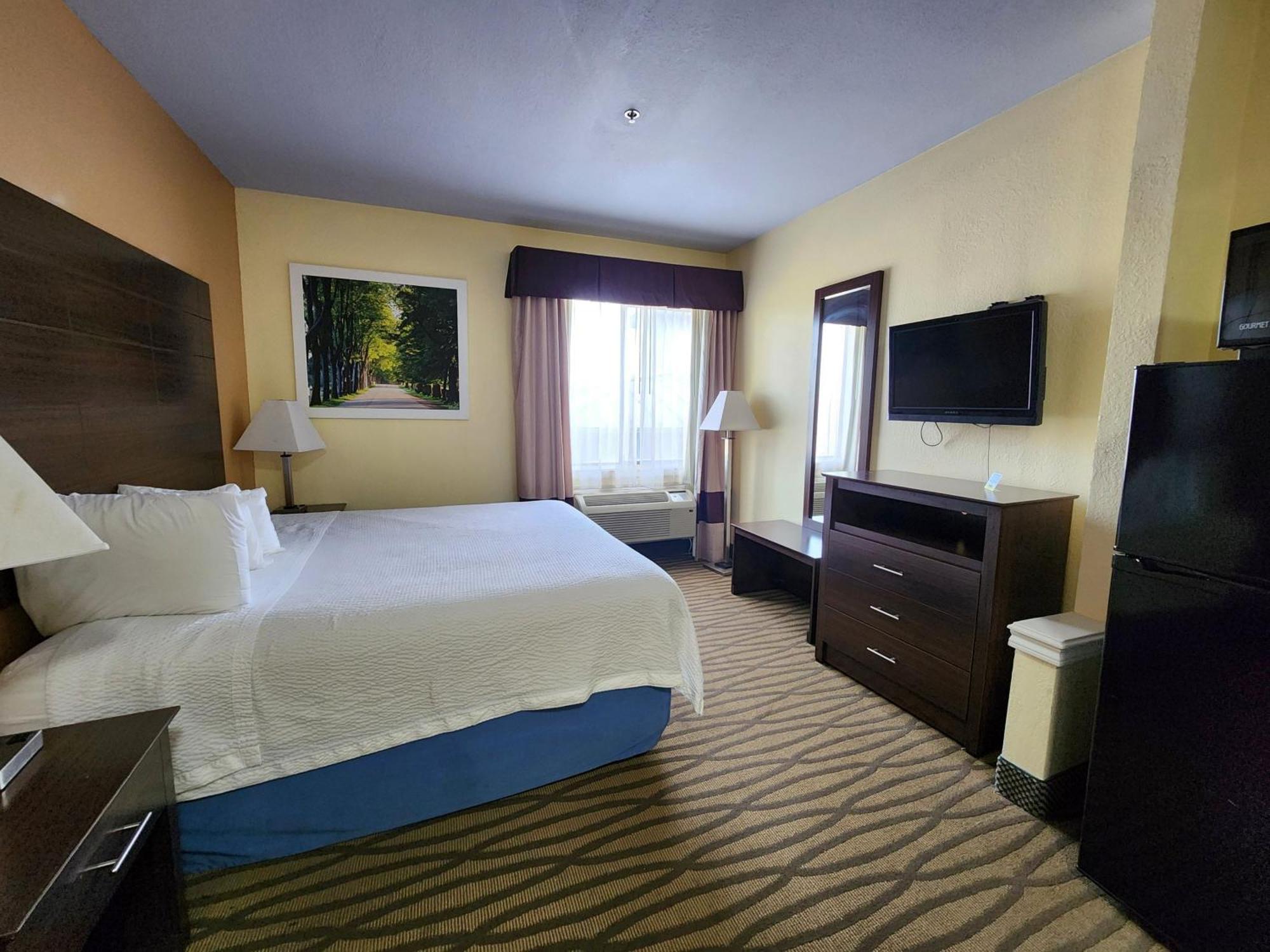 1 King Bed | Smoking, Micfridge