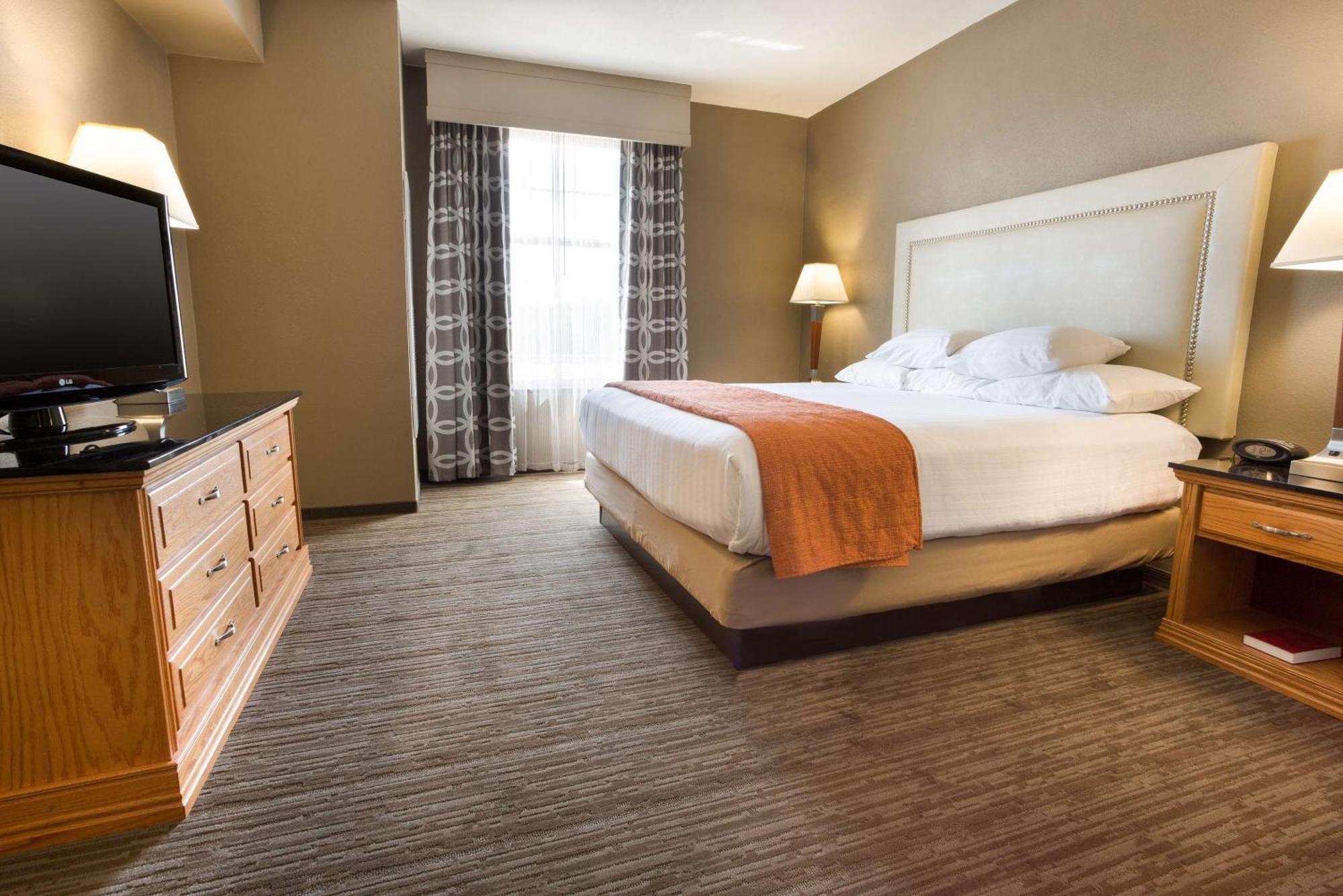 Suite con cama extragrande y sofá cama