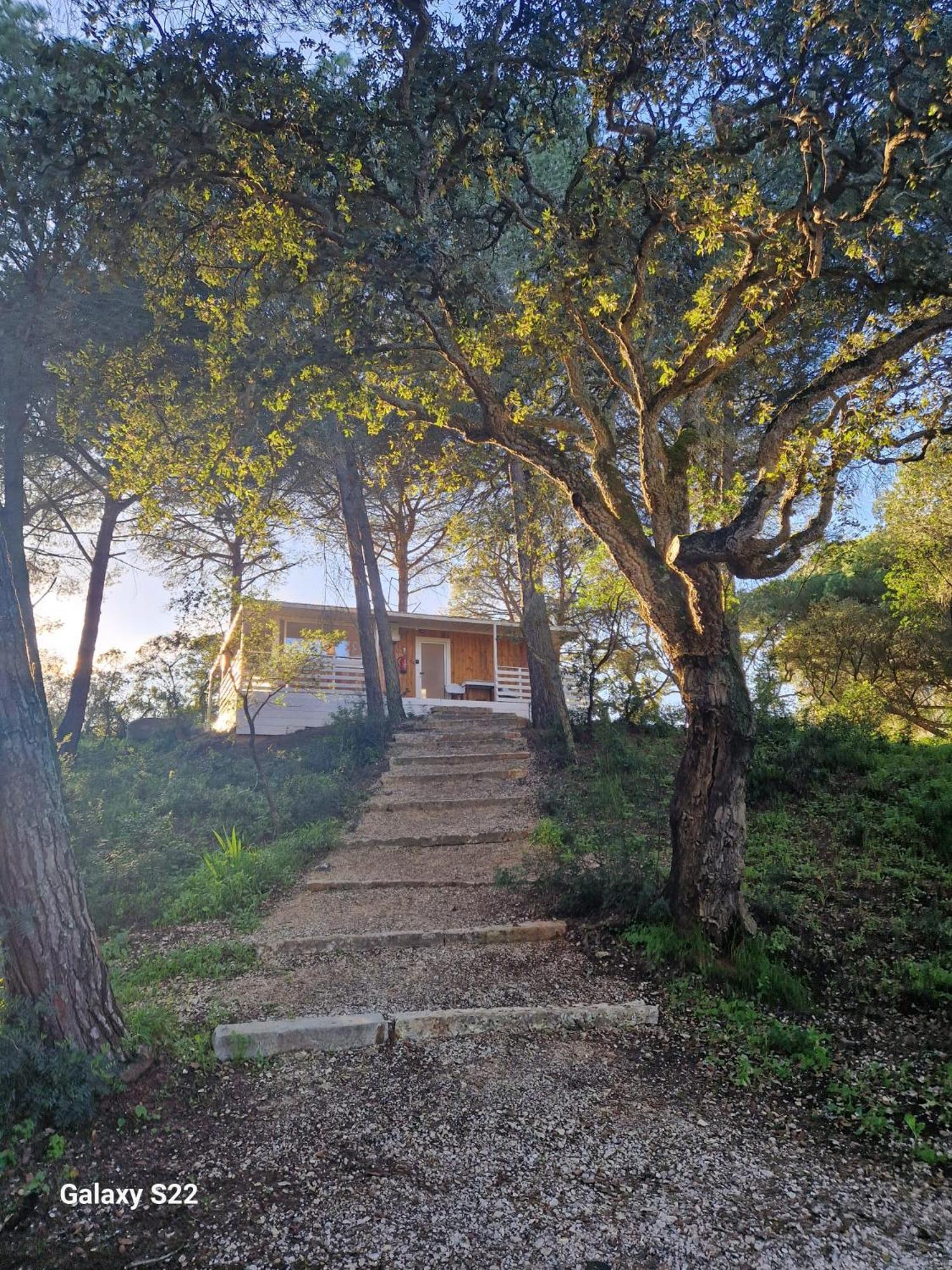 Superior Bungalow