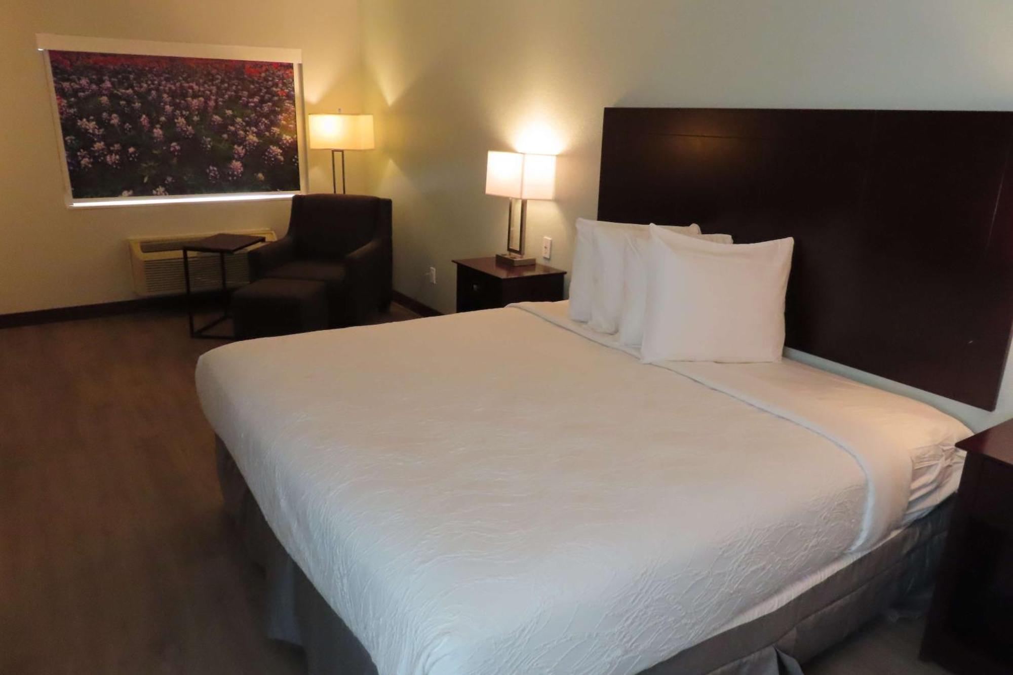 King Room with Walk-in Shower - Mobility Accessible/Non-Smoking
