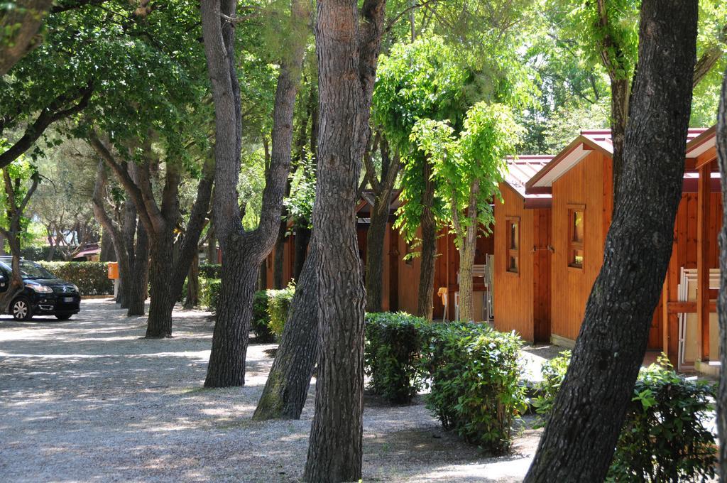 Bungalow (3 Adults)