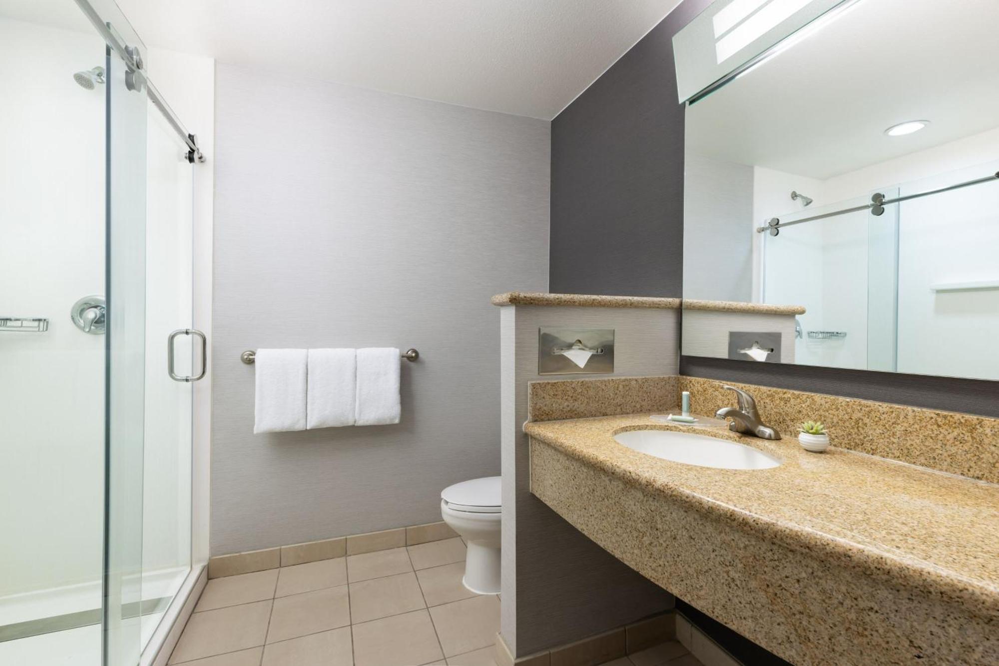 Habitación con cama extragrande y sofá cama