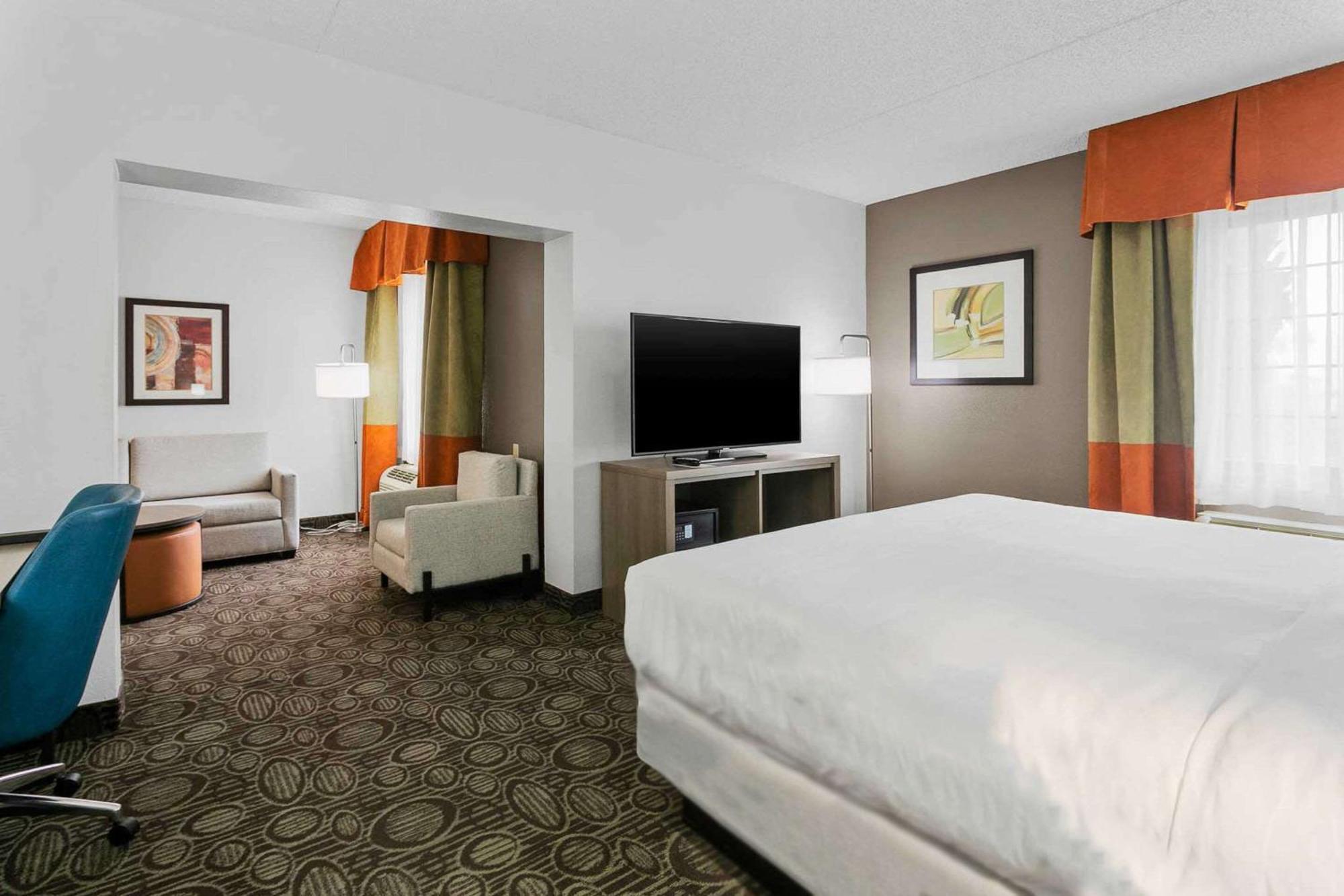 Deluxe King Suite with Wet Bar - Non-Smoking