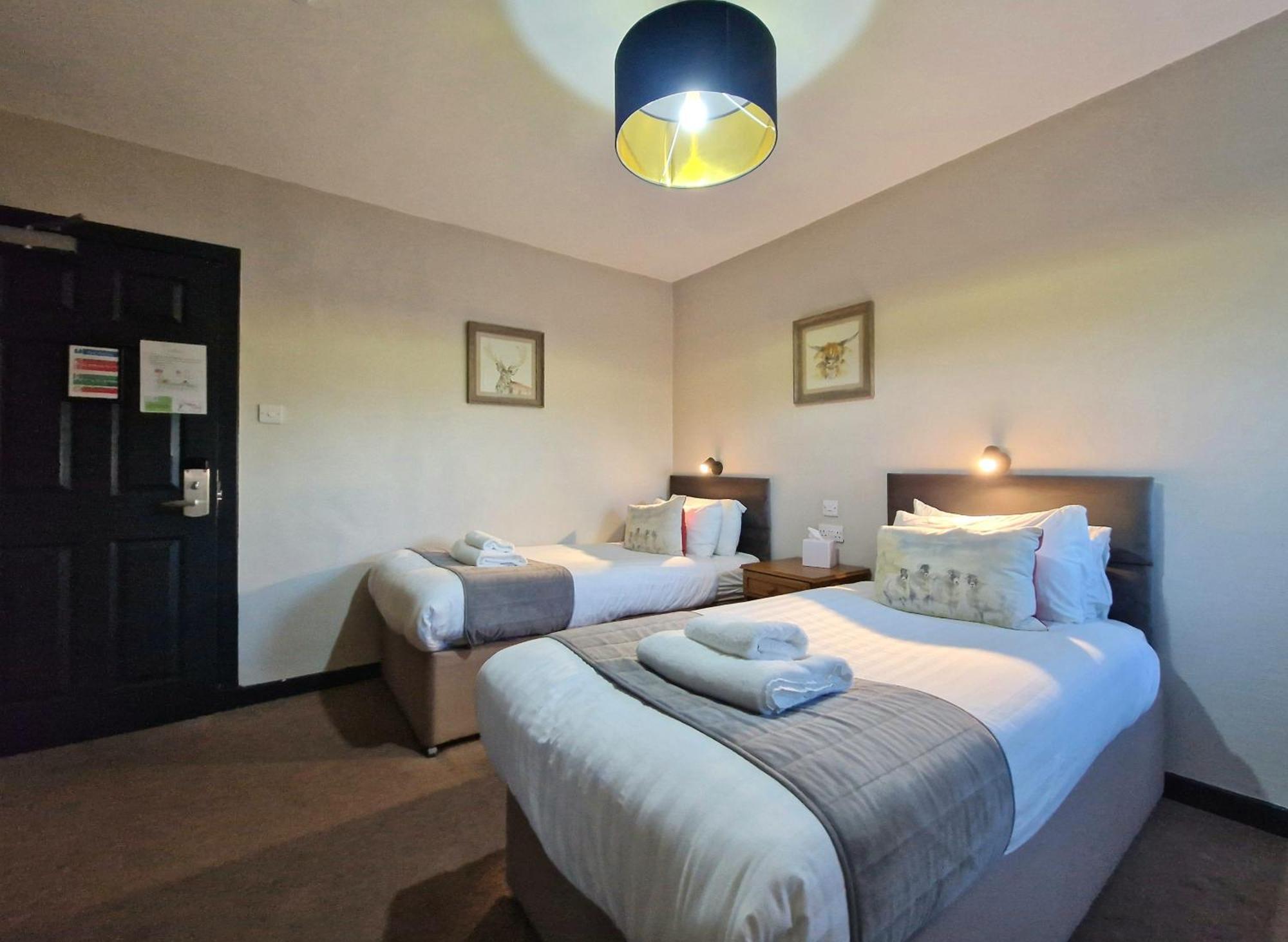 Cozy Twin Room