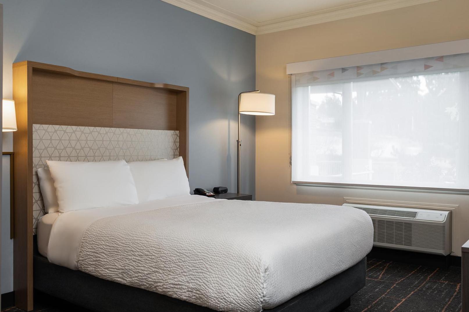 One-Bedroom Suite with Sofa Bed