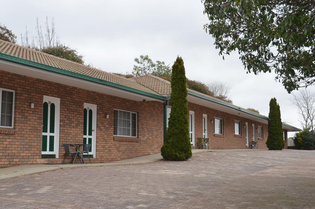 Pet Friendly - King Room