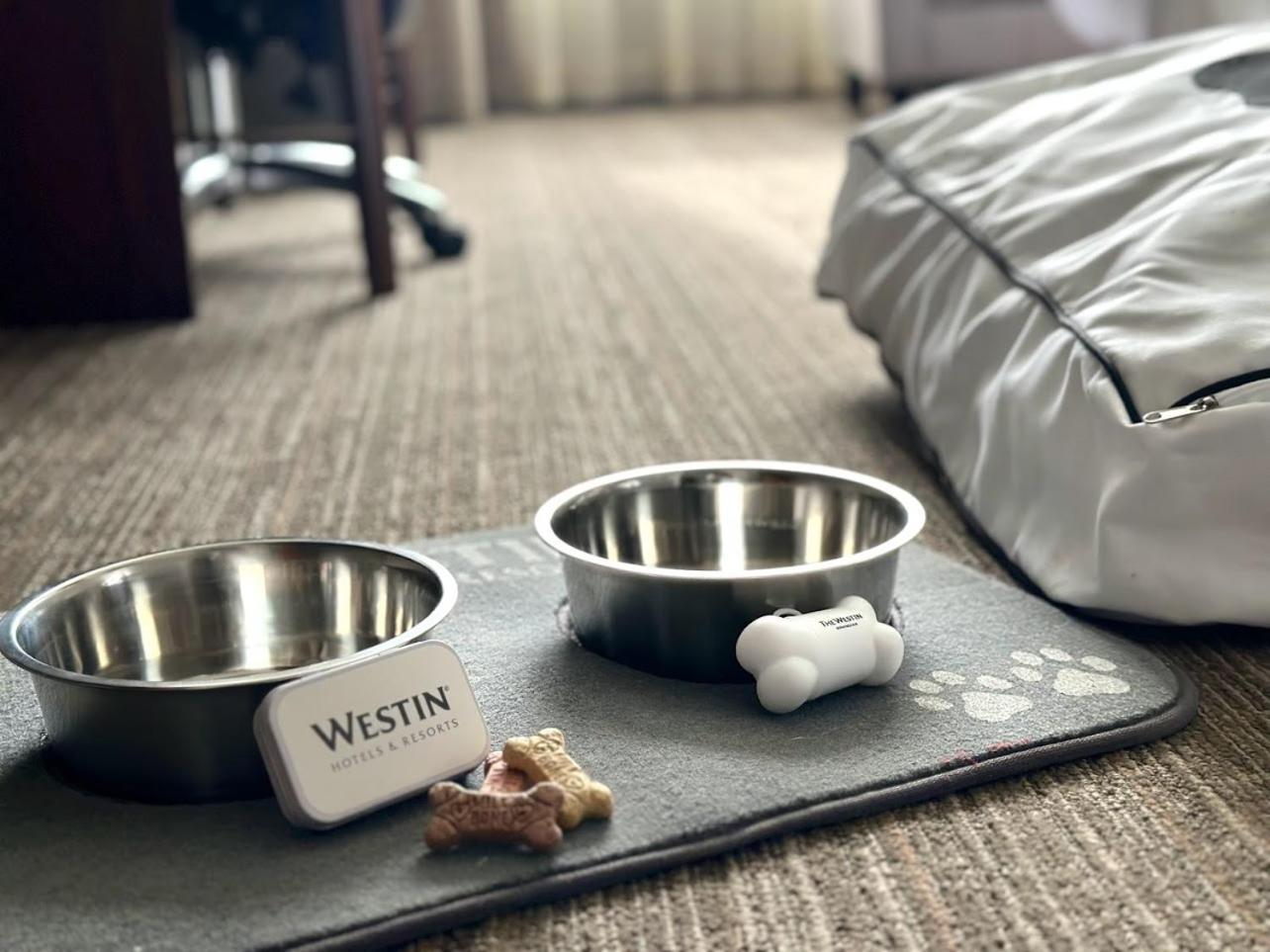 Traditional, Guest room, 2 Double