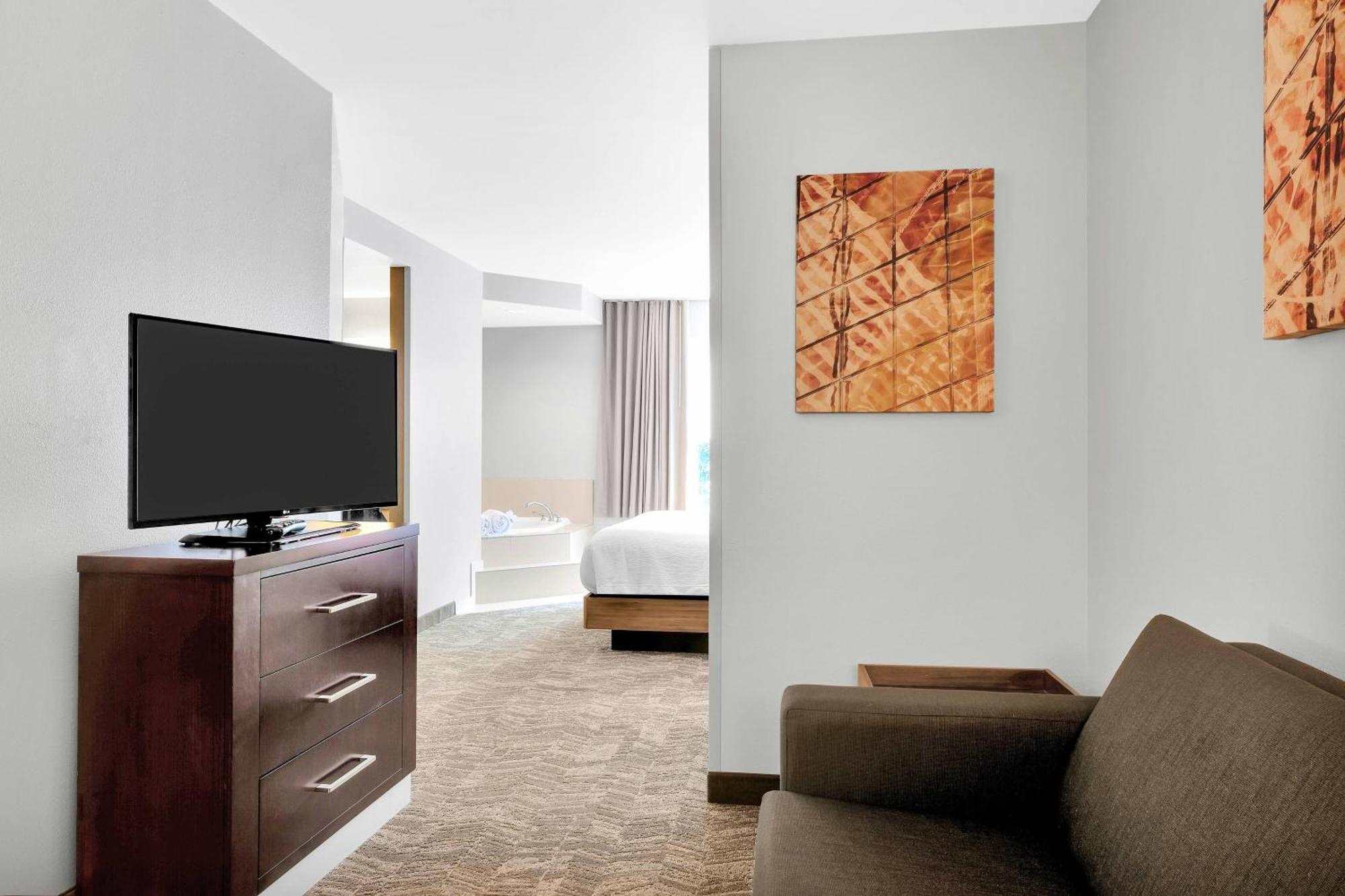 Larger King Suite with Dining Area and Sofa Bed