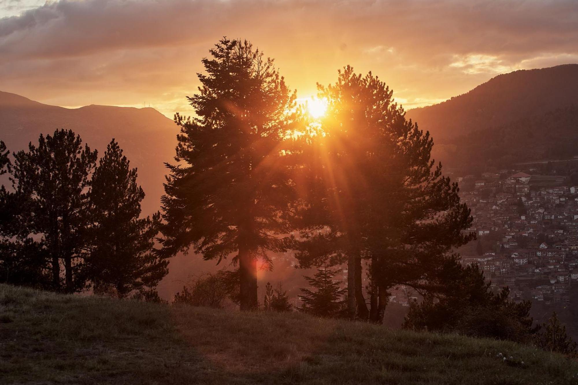 Grand Forest Suite Metsovo View