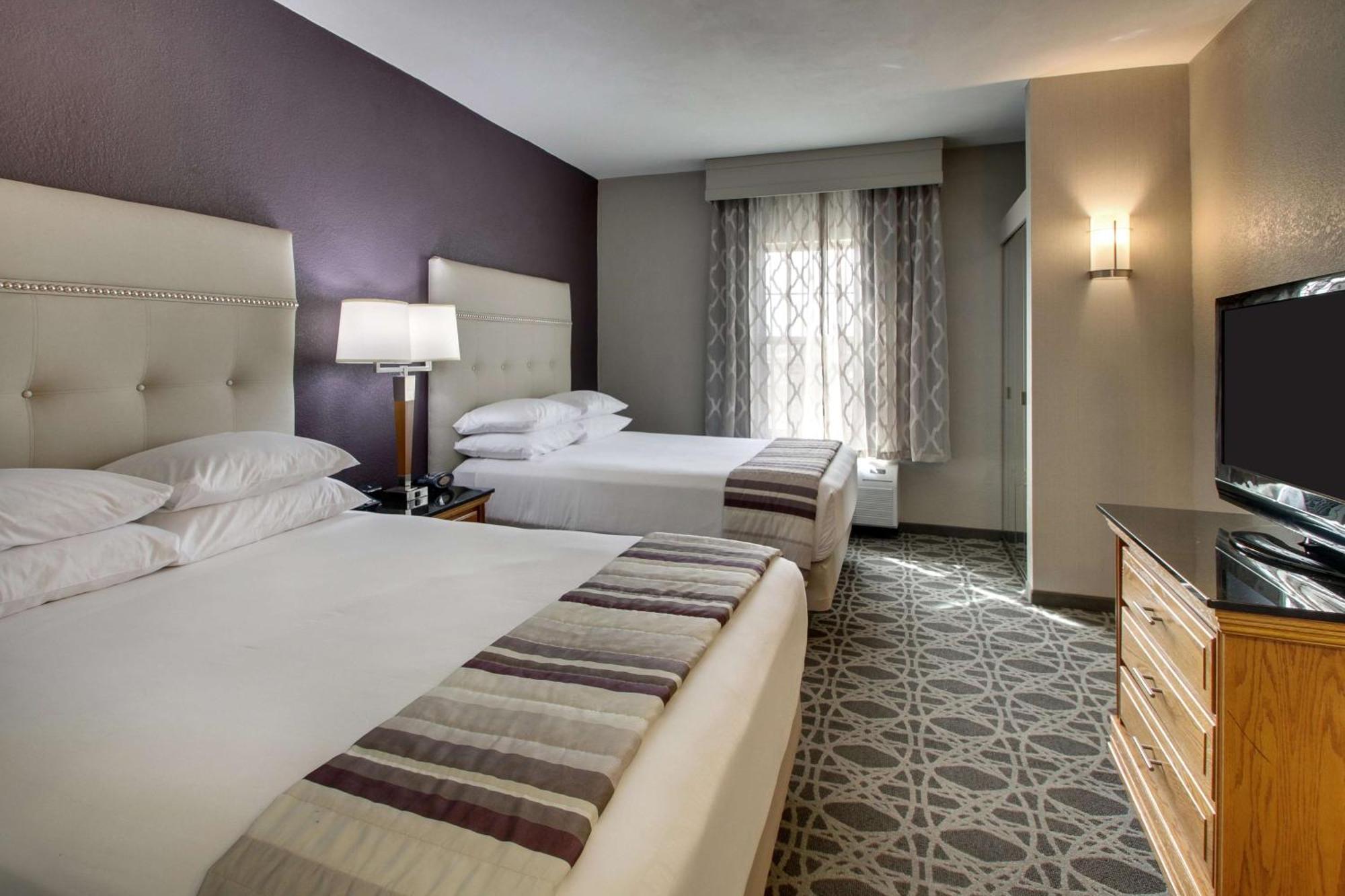 Suite con 2 camas grandes y 1 sofá cama