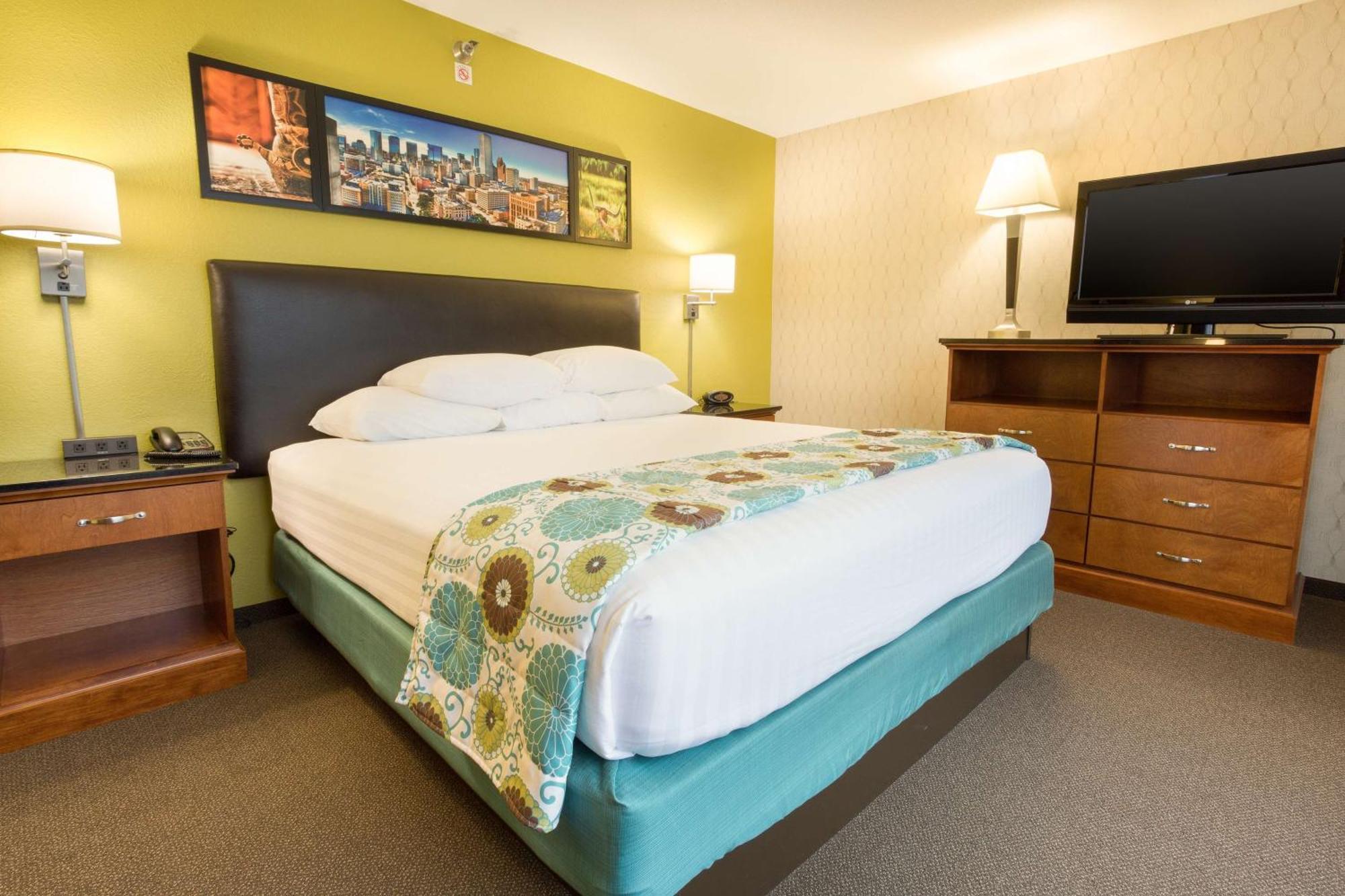Suite con cama extragrande y sofá cama