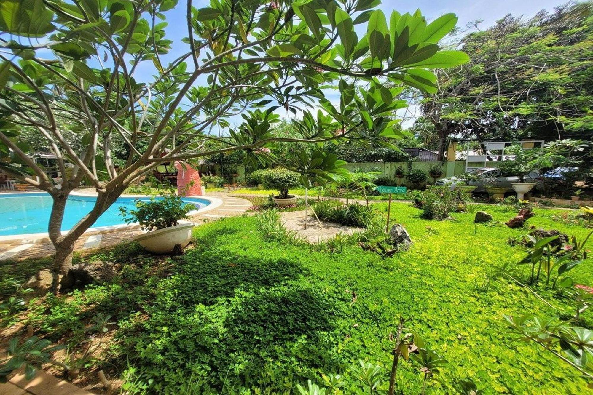 Double Room with Pool View