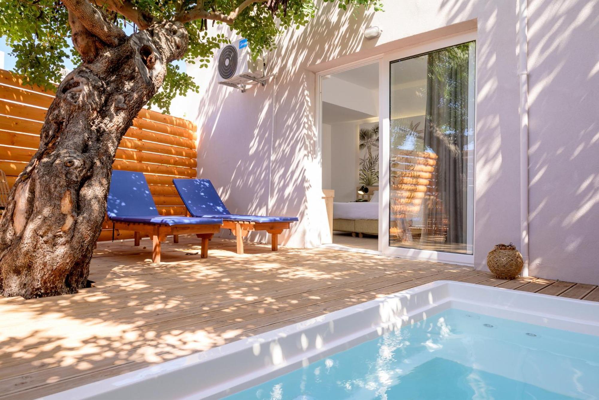Superior Double Room with Plunge Pool