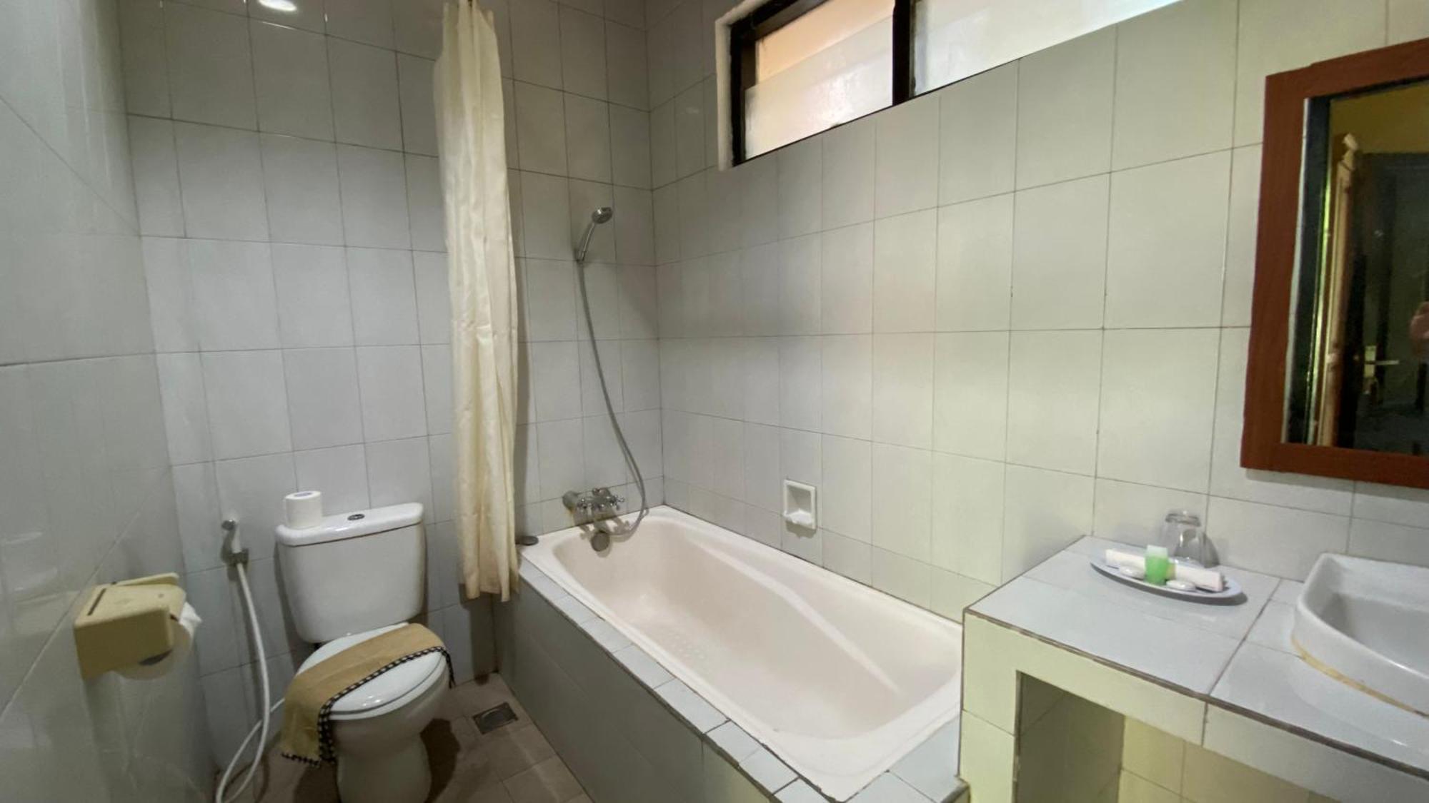 Superior Double or Twin Room