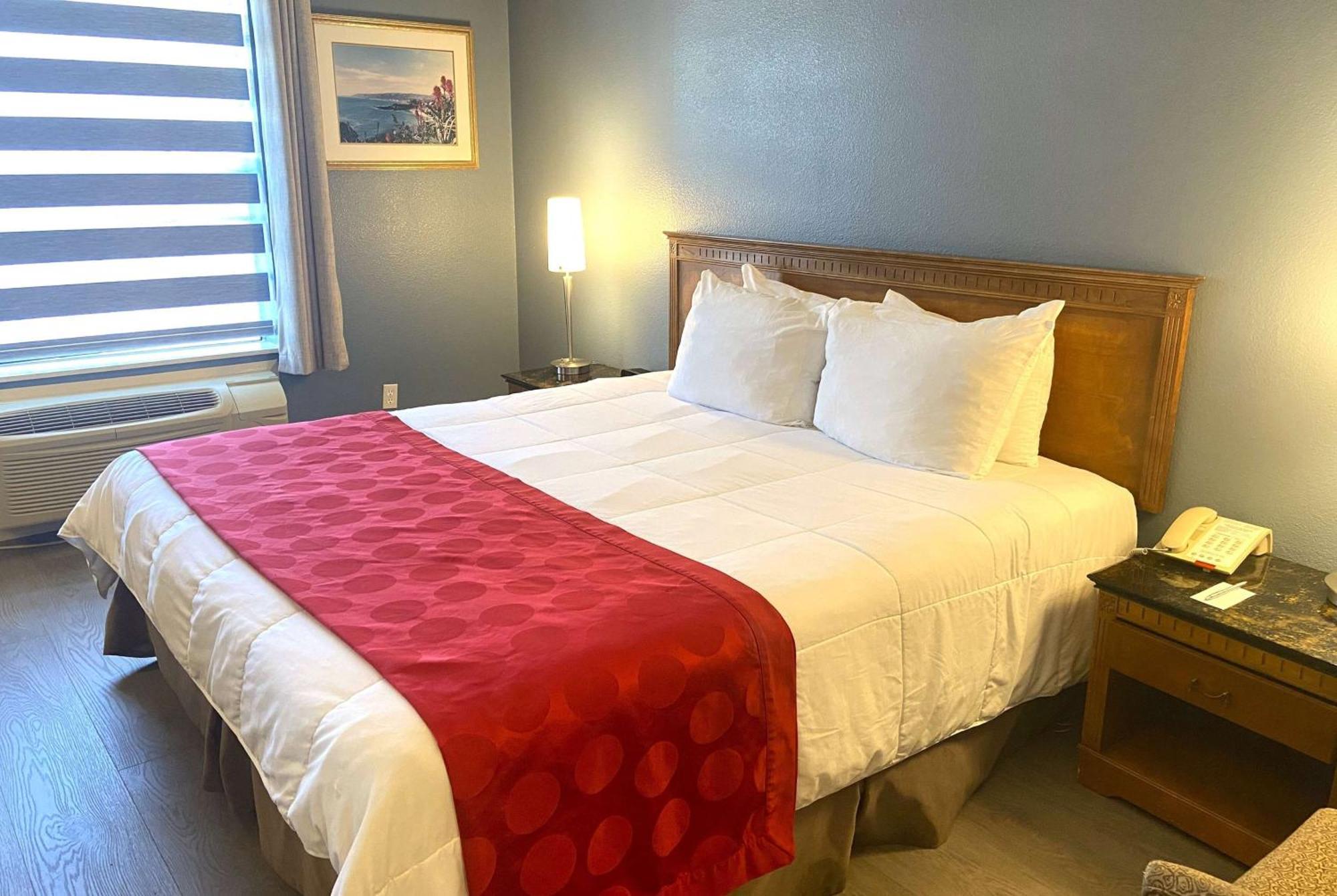 Habitación con cama extragrande - No fumadores