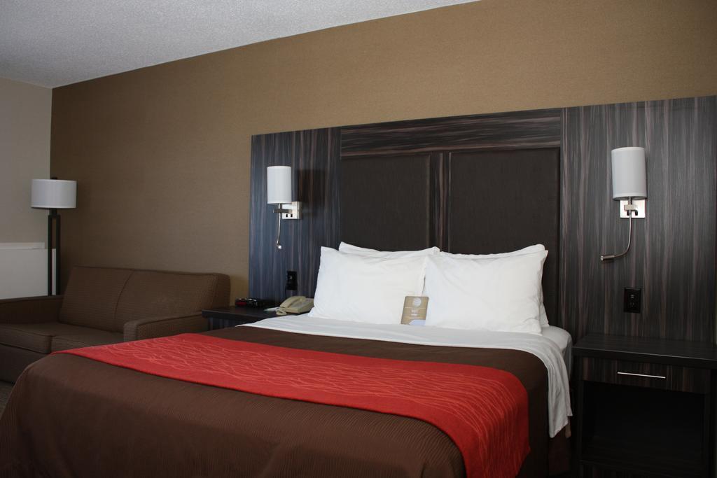 Queen Room - Ground Floor - Pet-Friendly