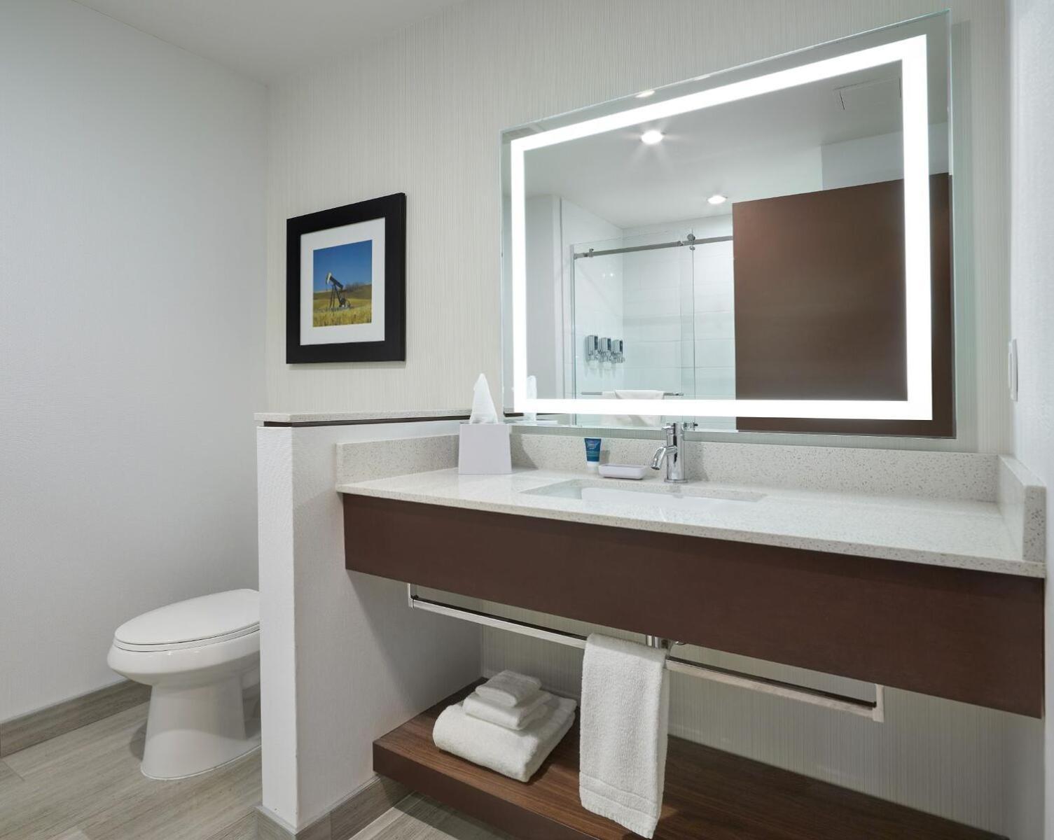 Guest room, 1 King, Sofa bed