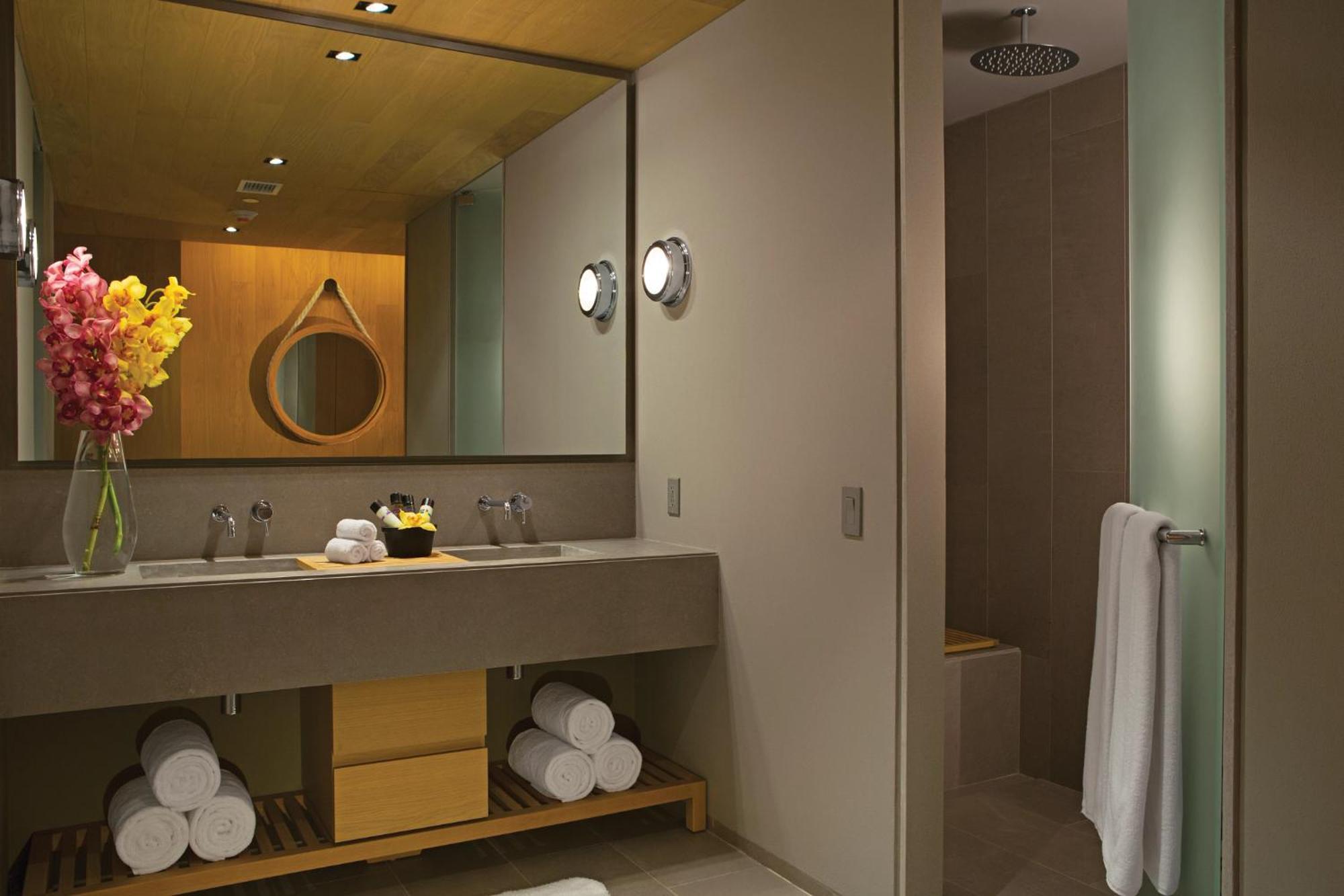 Allure Suite with King Bed